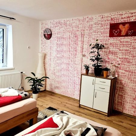 Appartement Salzburg Living à Guggenthal Extérieur photo