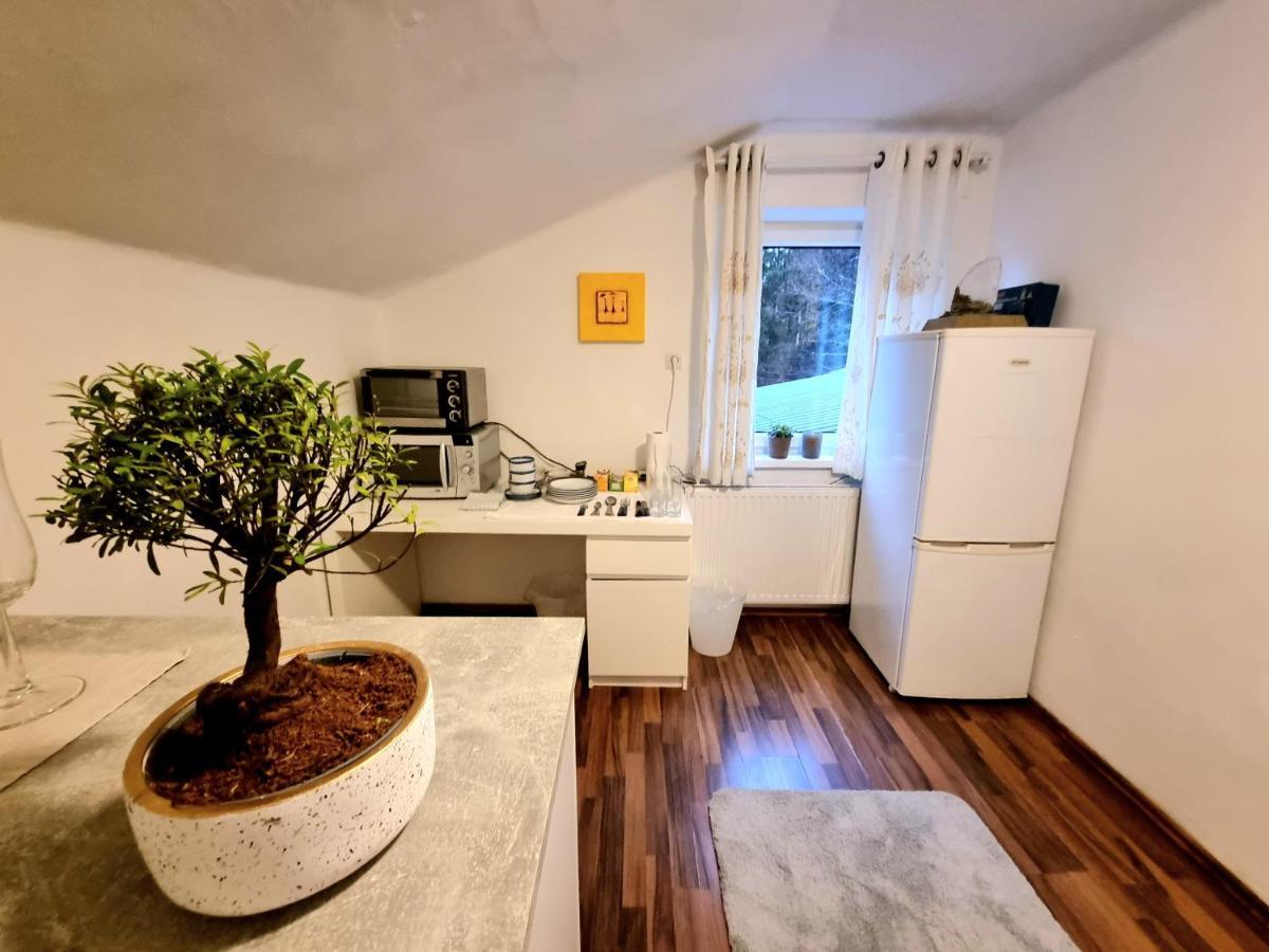 Appartement Salzburg Living à Guggenthal Extérieur photo