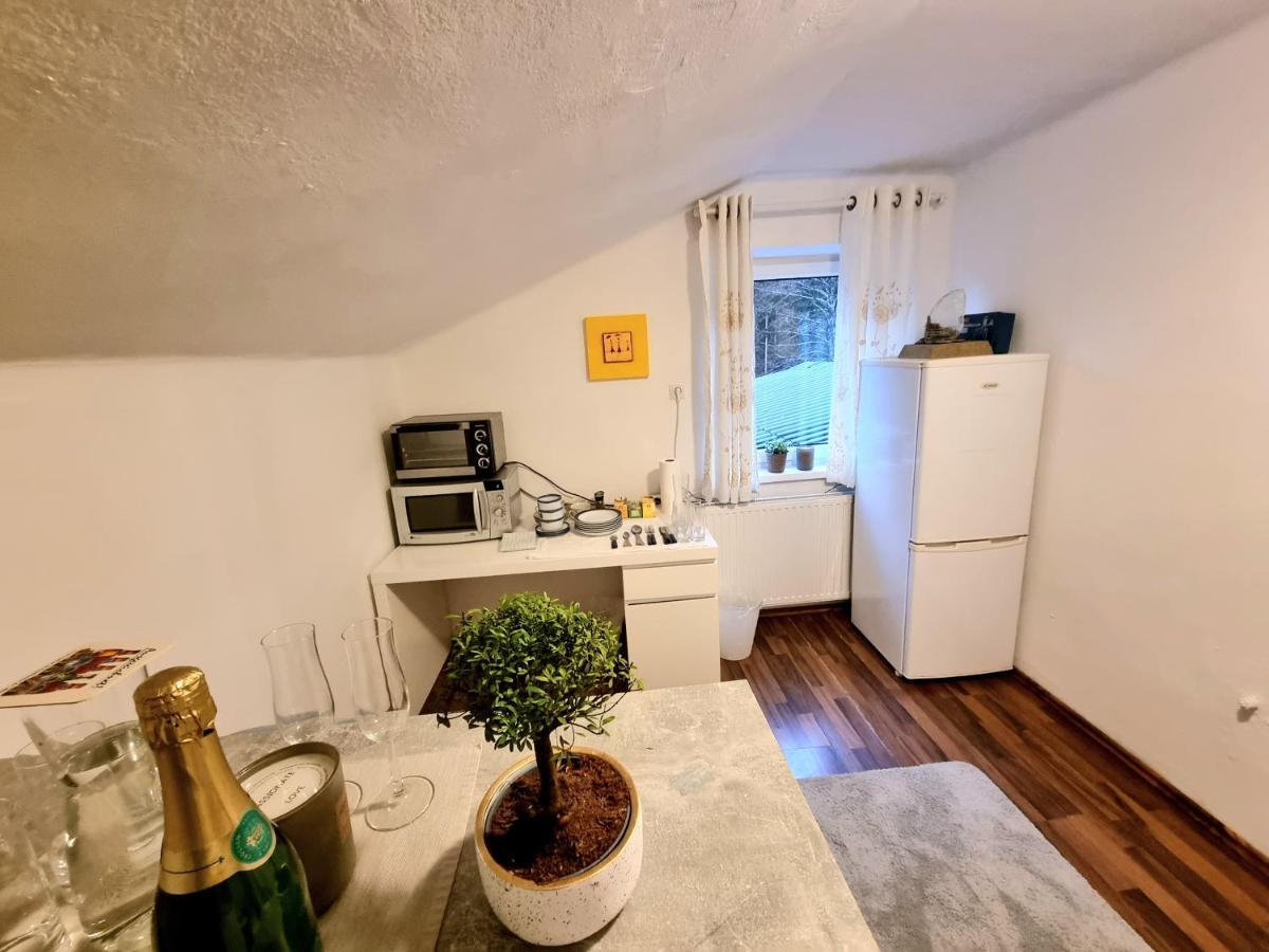 Appartement Salzburg Living à Guggenthal Extérieur photo